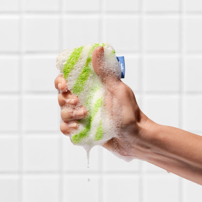 Scrub Sponges